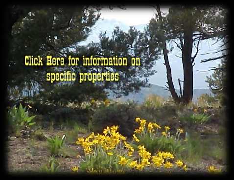 Click Here for information on specific properties